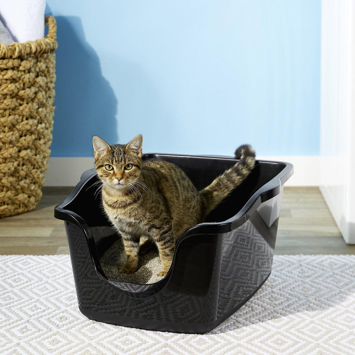 The 9 Best Cat Litter Box Options, According to Our Pet Expert