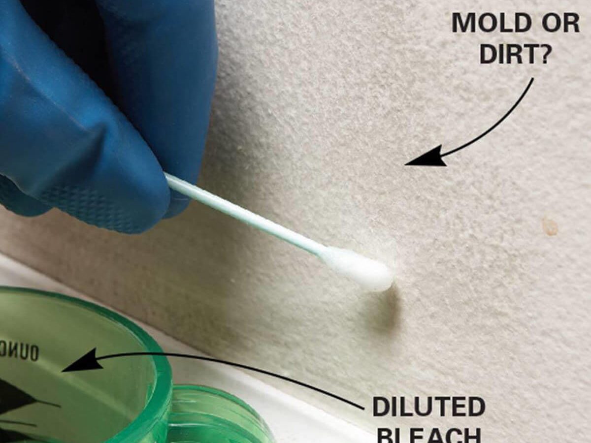 DIY home test kit for mold : r/homeowners