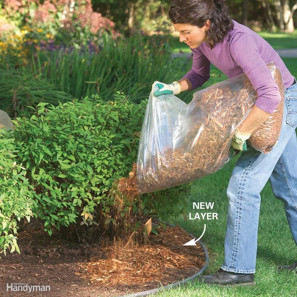 Tips for a Weed Free Yard