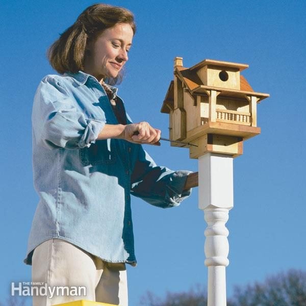 build a backyard birdhouse family handyman