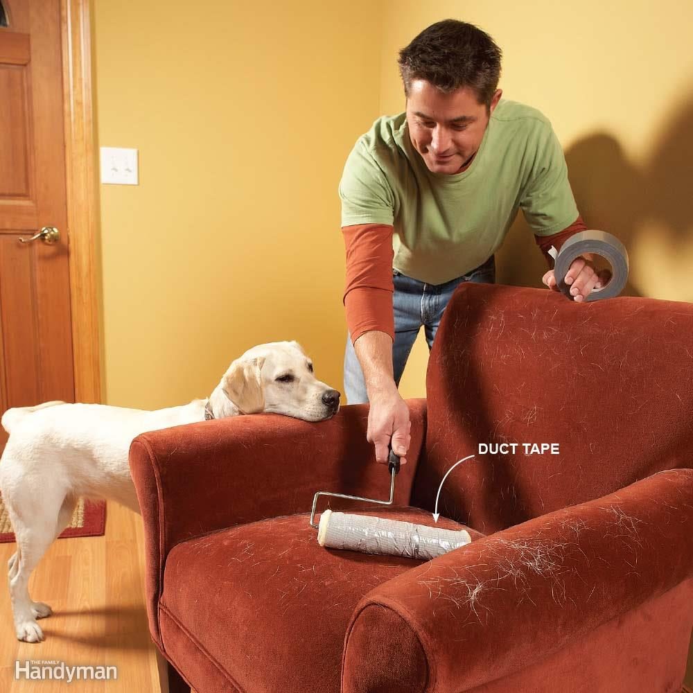 19 Cleaning Tips Every Dog or Cat Owner Should Know