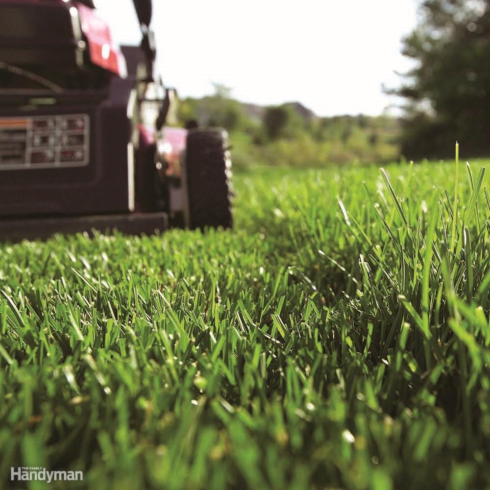 Tips for Buying a Walk-Behind Lawn Mower