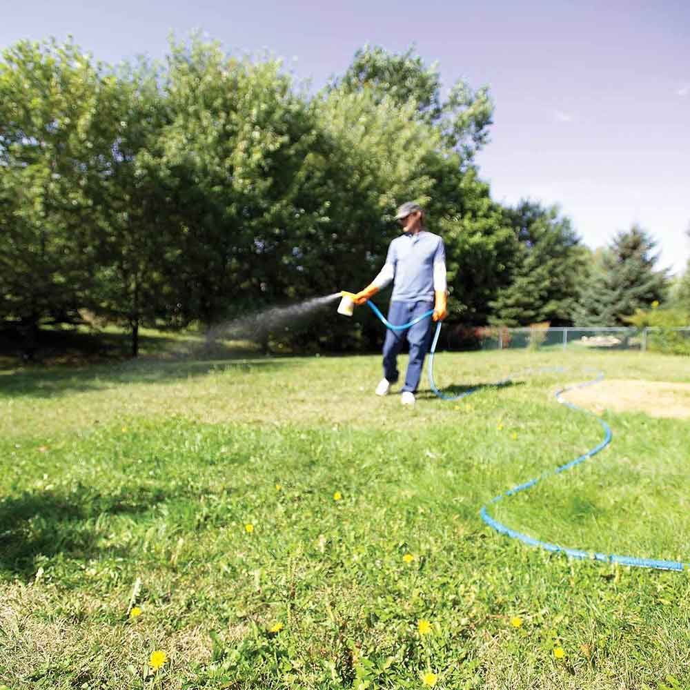 How to Kill Weeds