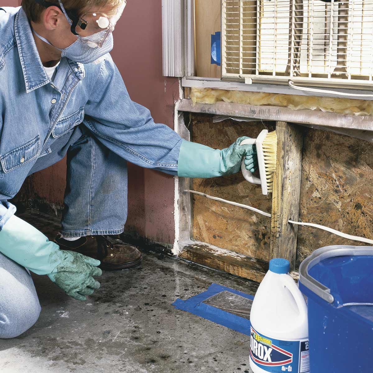 mold-testing-how-to-test-for-mold-in-the-house