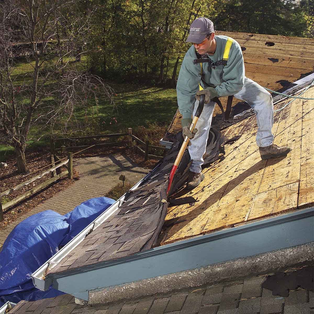 removing shingles