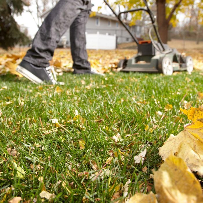 14 Tips for Dealing with Leaves Like a Pro The Family Handyman