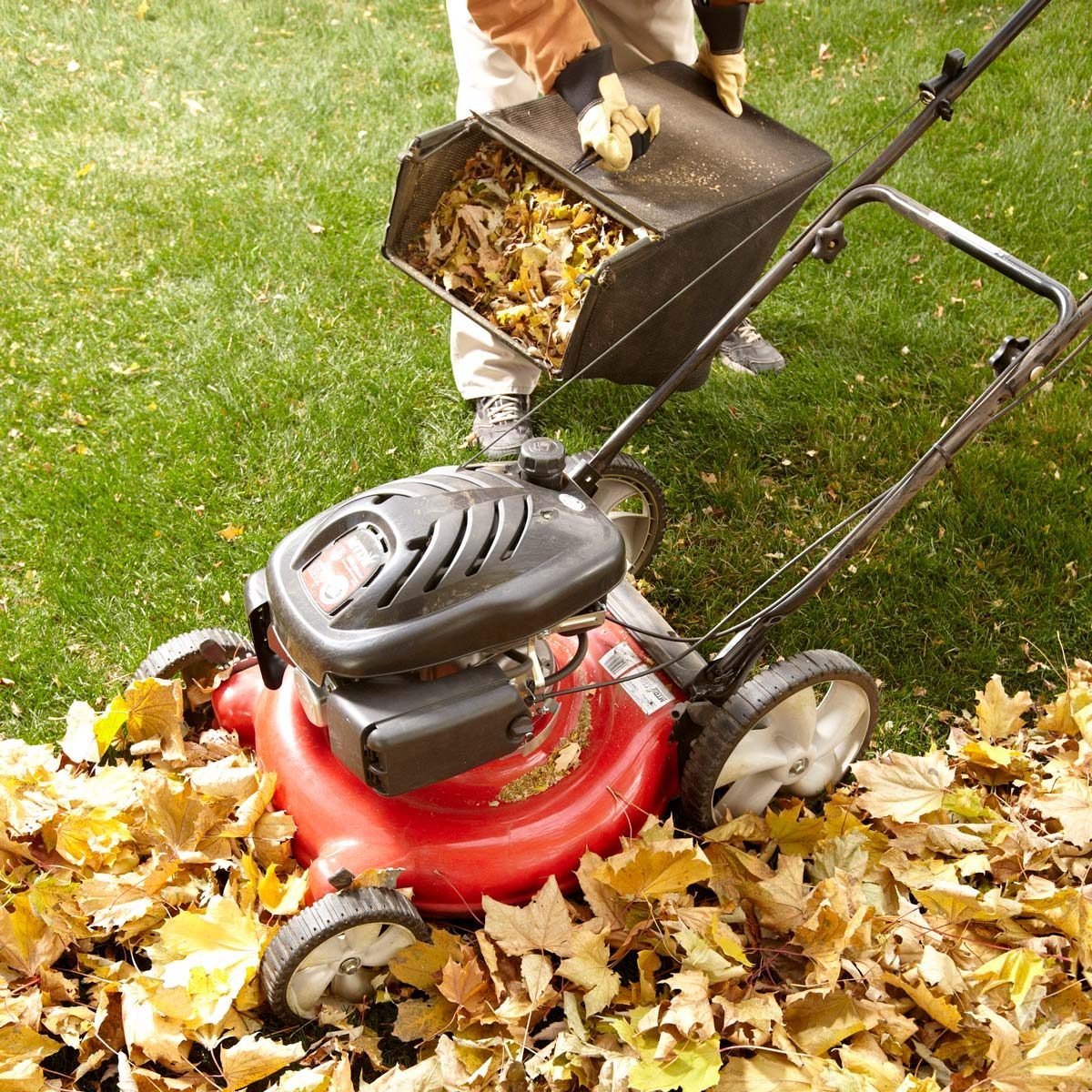 14 Tips for Dealing with Leaf Clean Up Like a Pro