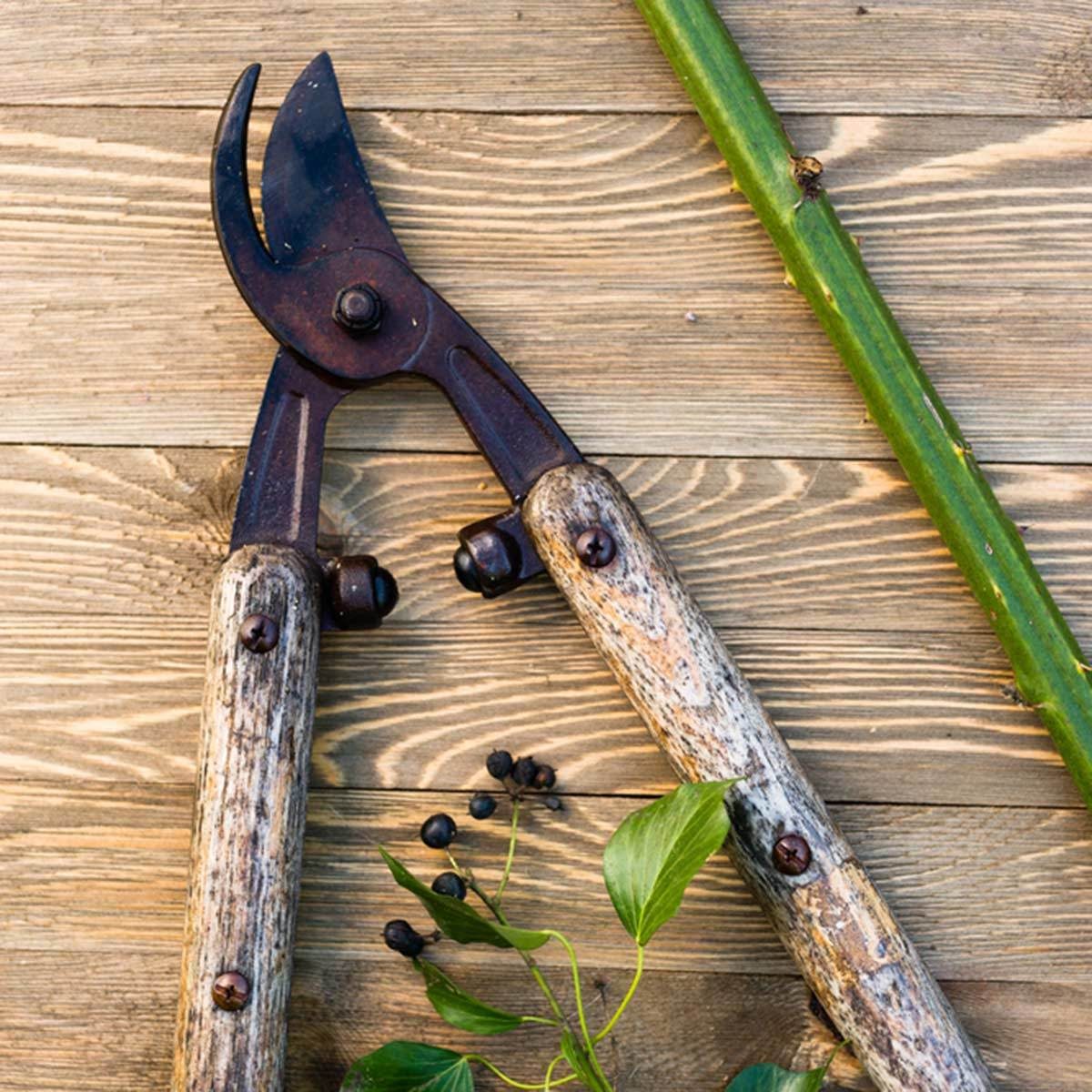 How to Sharpen Garden Tools Family Handyman