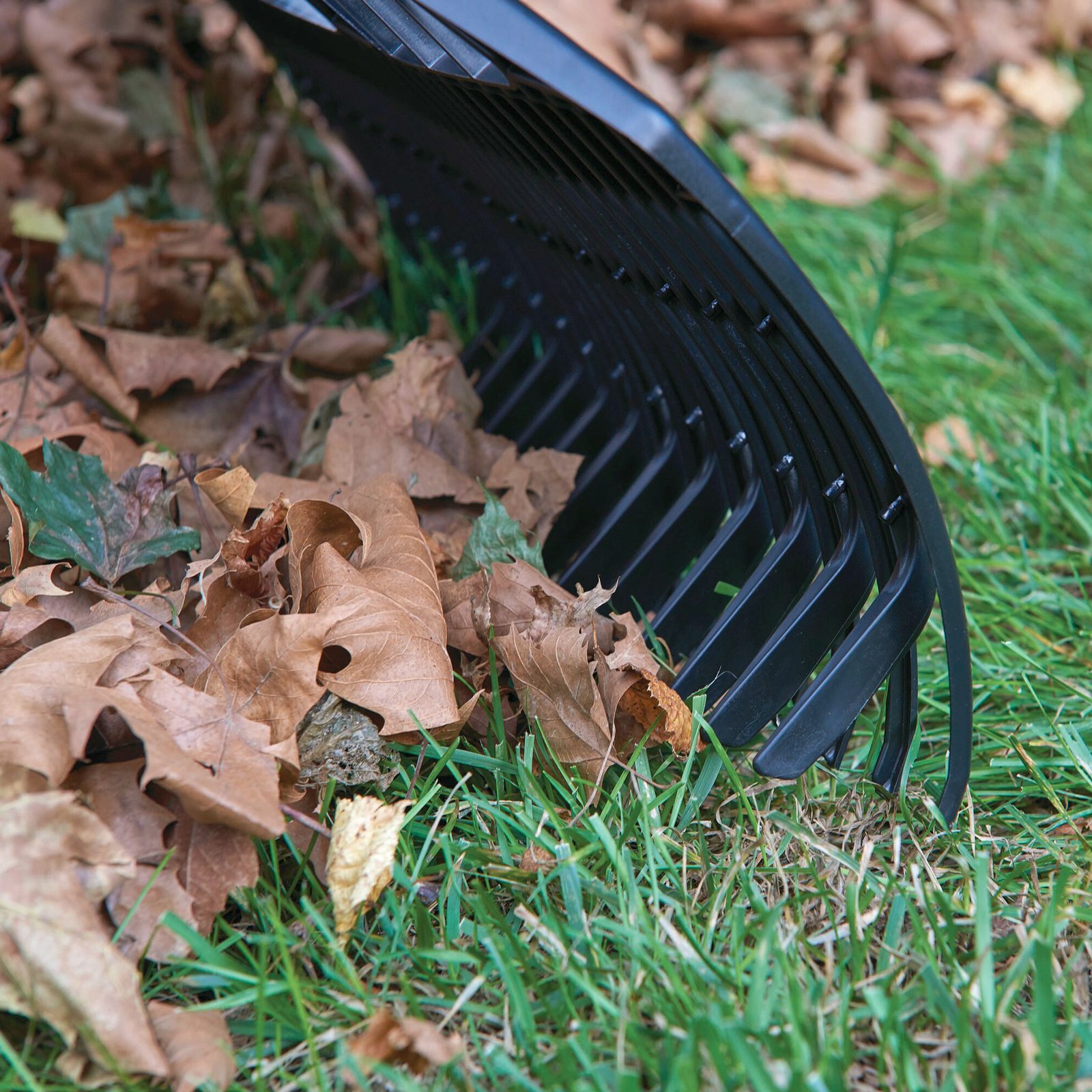I used four different tools to get rid of leaves — here's what worked best