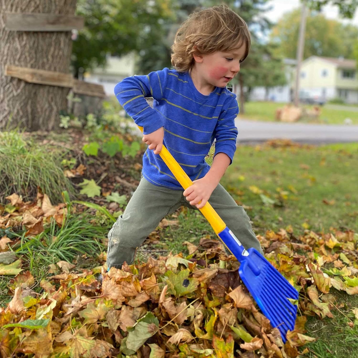 kids raking leaves