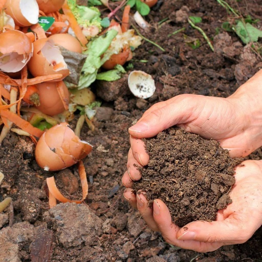 dfh17sep038_160161059_01-1200x1200 compost pile dirt garden egg shells lettuce soil fertilizer