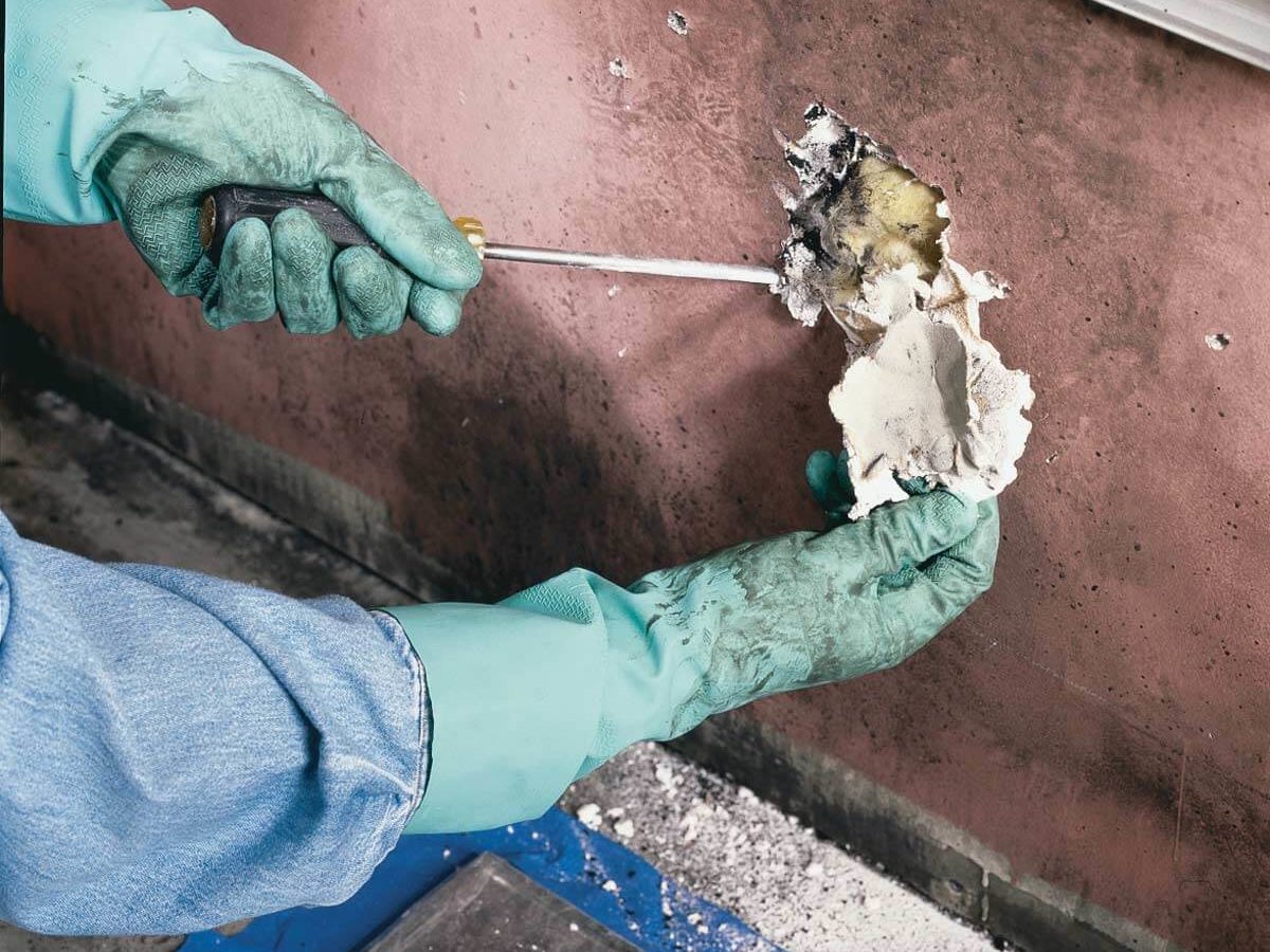 Mold Testing & Detection: How to Test for Mold in Your Home