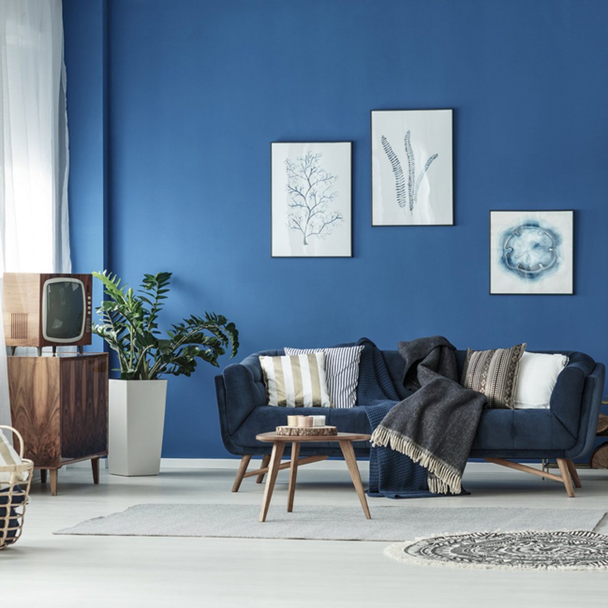 13 Great Paint Ideas For Your Living Room The Family Handyman