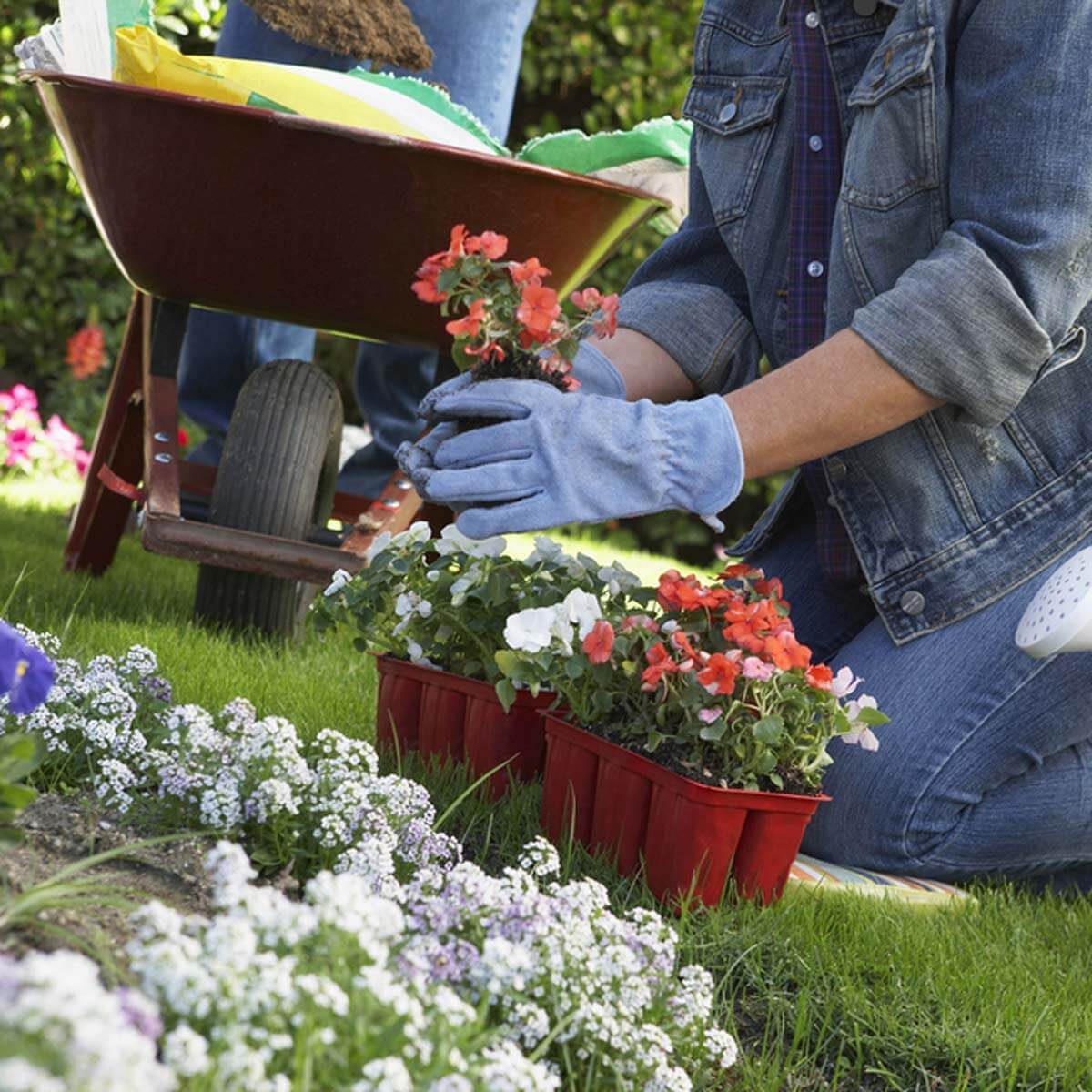 10 Handy Gardening Tips for Busy People