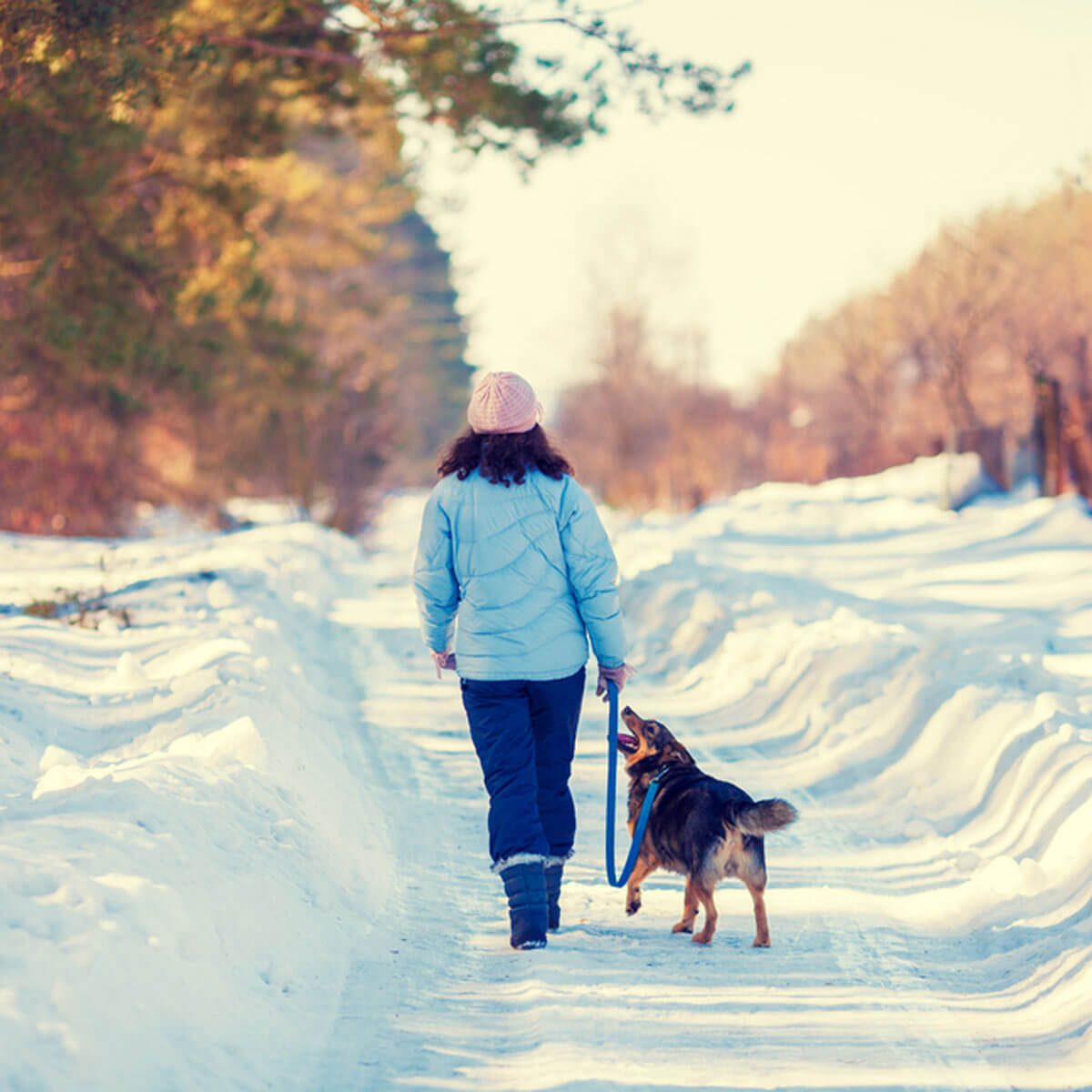 12 Ways to Keep Your Dog Warm Outside