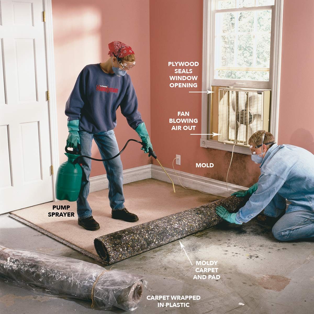How To Remove Mold Mold Remediation The Family Handyman