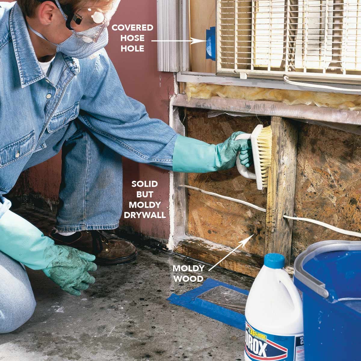 Scrub moldy surfaces with mold cleaner diagram