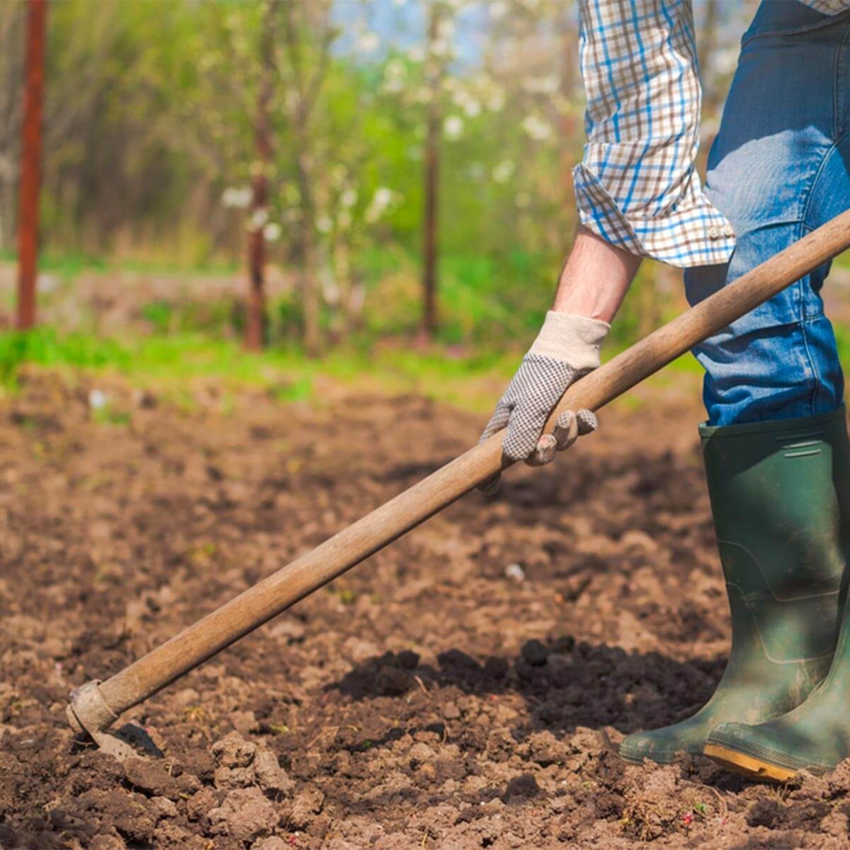 How to Prep Soil for a Vegetable Garden