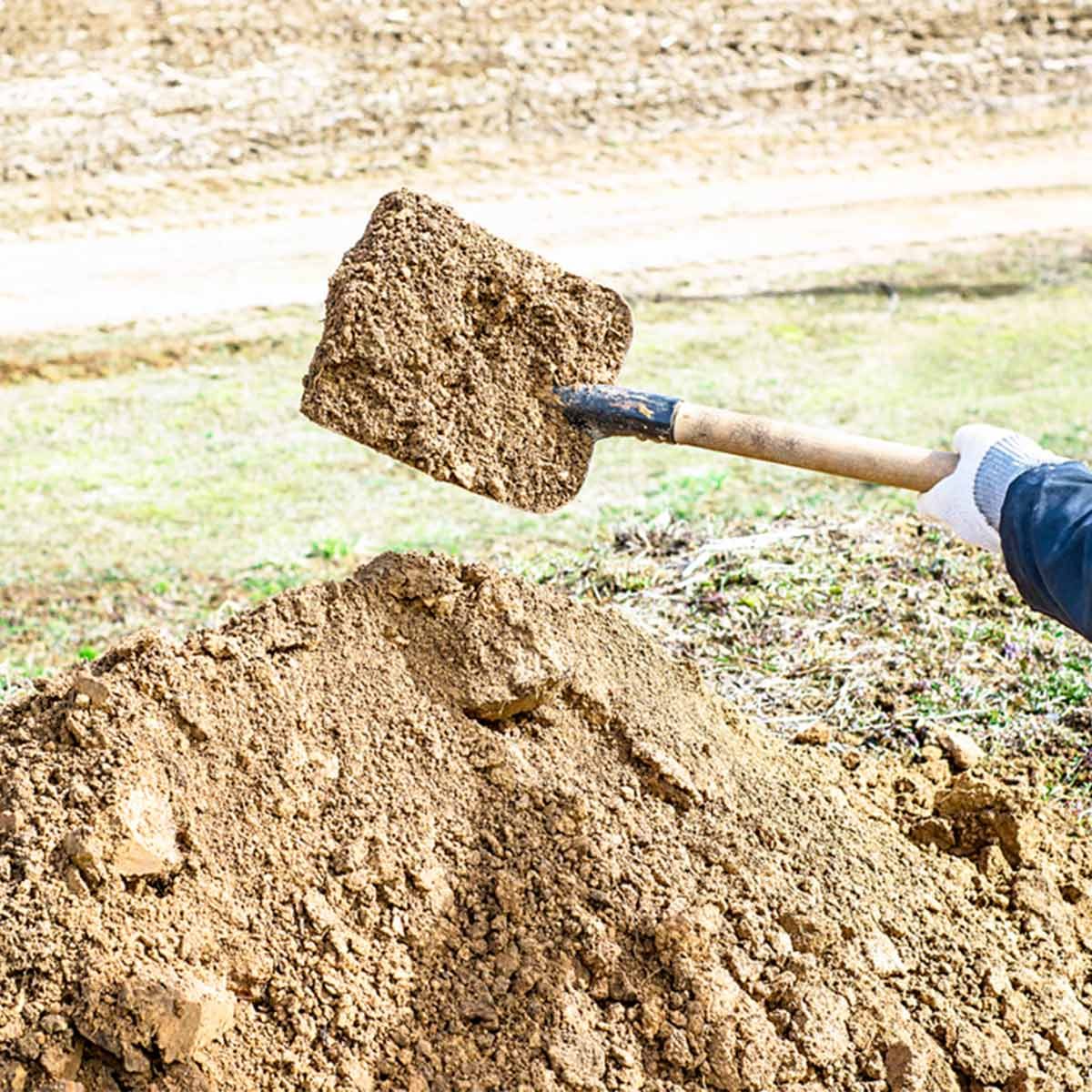 How to Prep Soil for a Vegetable Garden | The Family Handyman