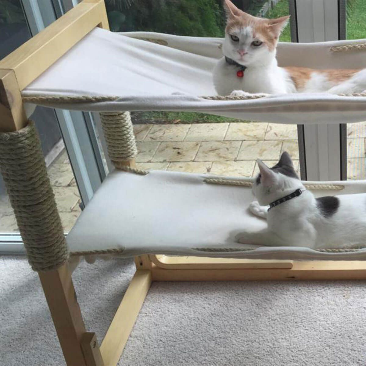 Set of Four: Three Floating Cat Cube Shelves and One Floating Cat Bed  Floating Cat Shelves Cat Perch Reclaimed Wood Shelves 