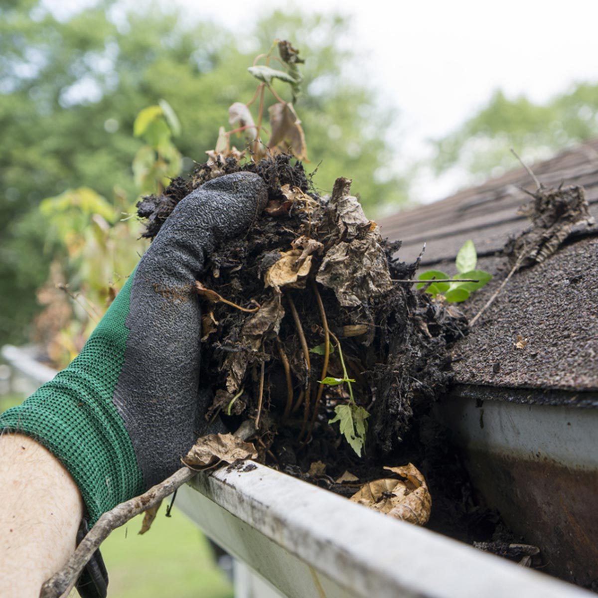 How to Prep Your Roof for the Fall