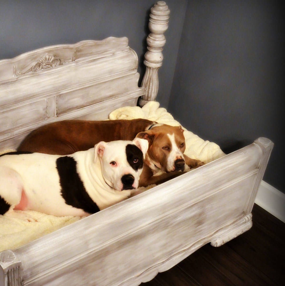 13 Adorable DIY Dog Beds — The Family Handyman