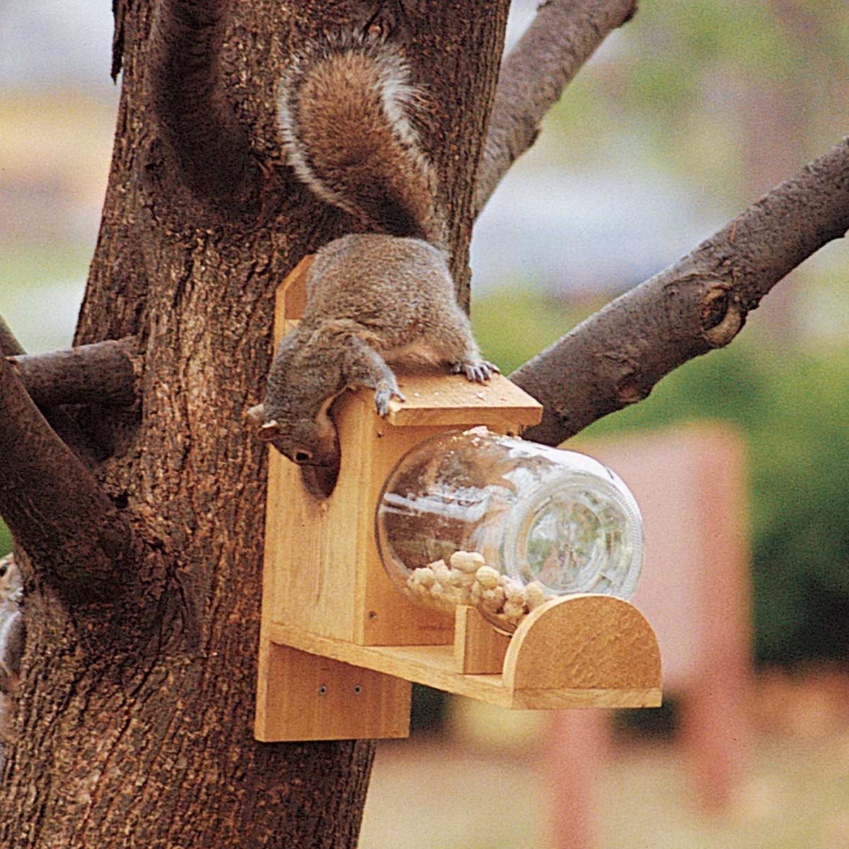 how to make a squirrel feeder — the family handyman