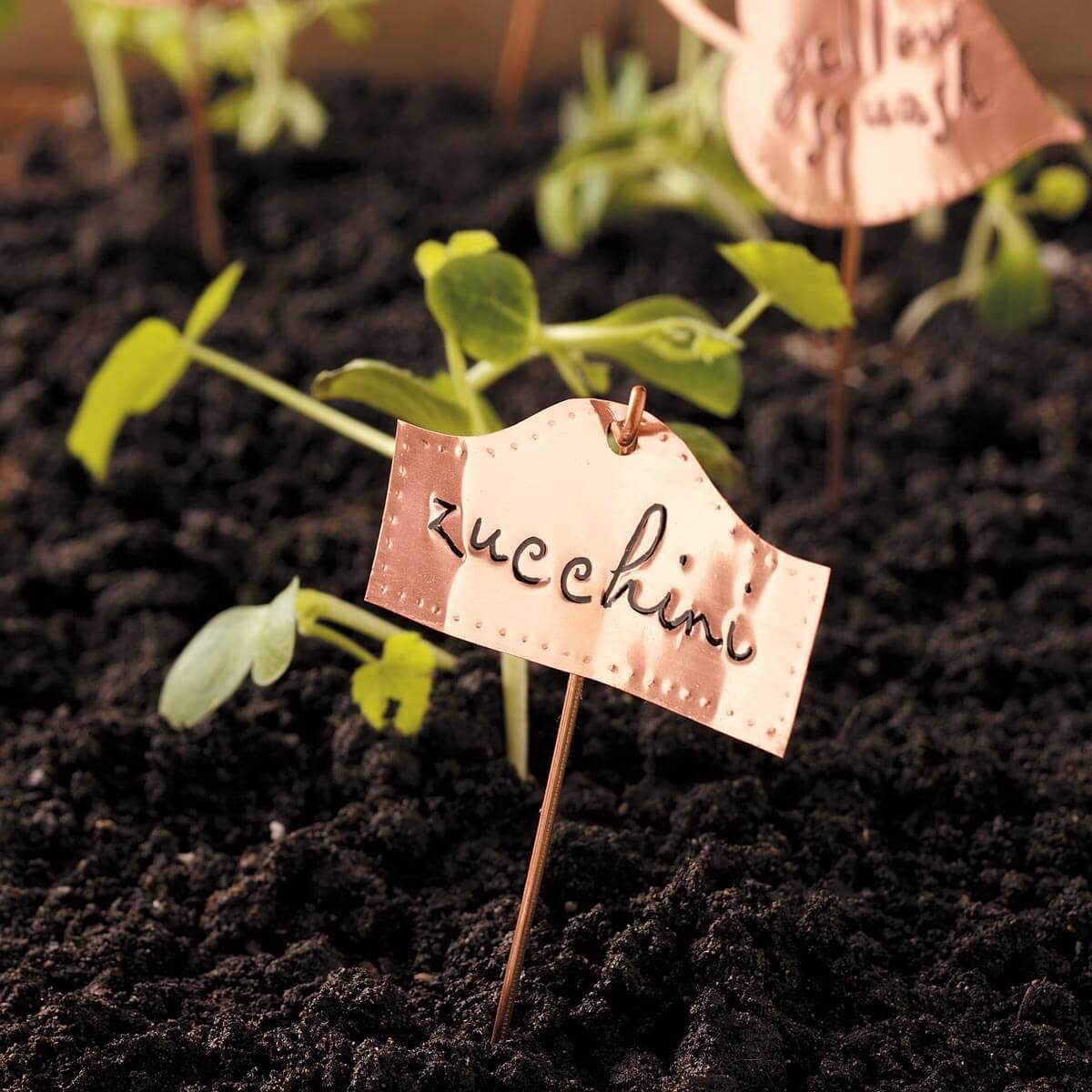 Make Classic Copper Plant Markers