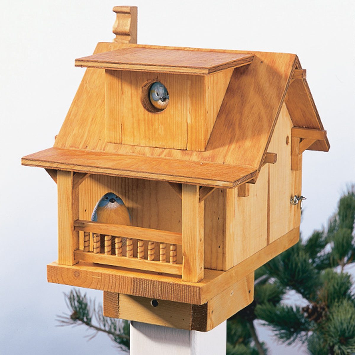 build-a-backyard-birdhouse-diy-family-handyman