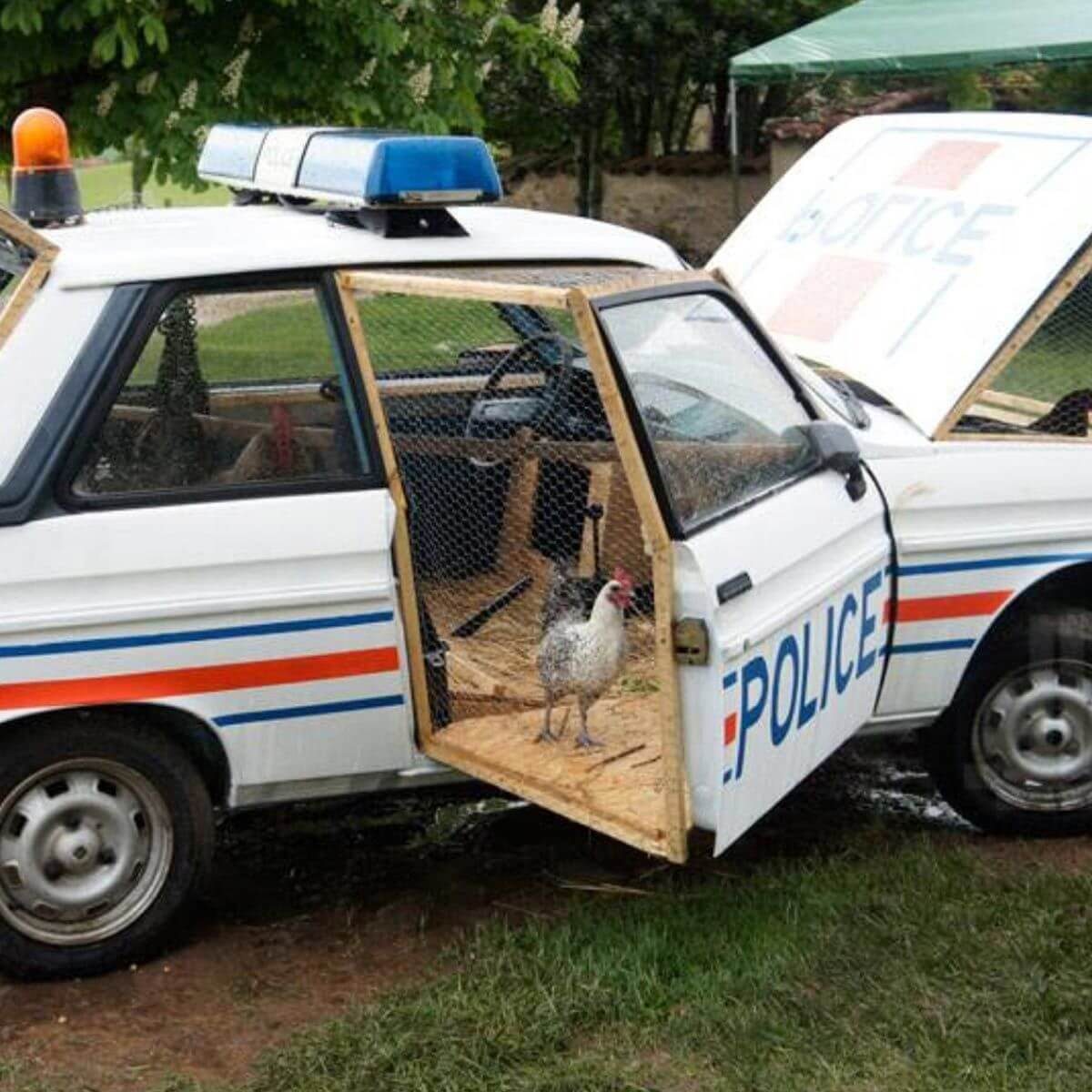 chicken coop in a police car unique chicken coops