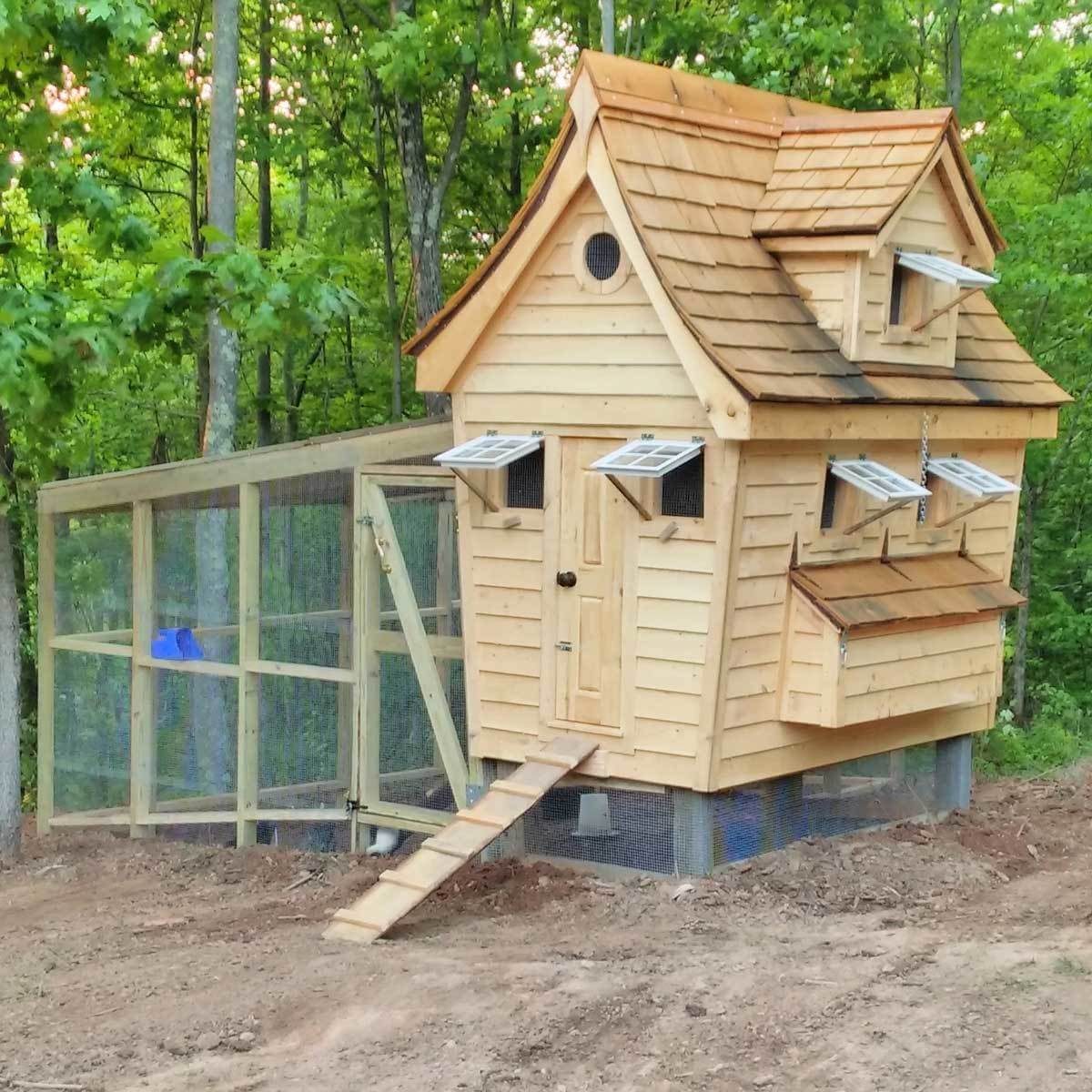 14 Chicken Coop Ideas and Designs You Can Build Yourself