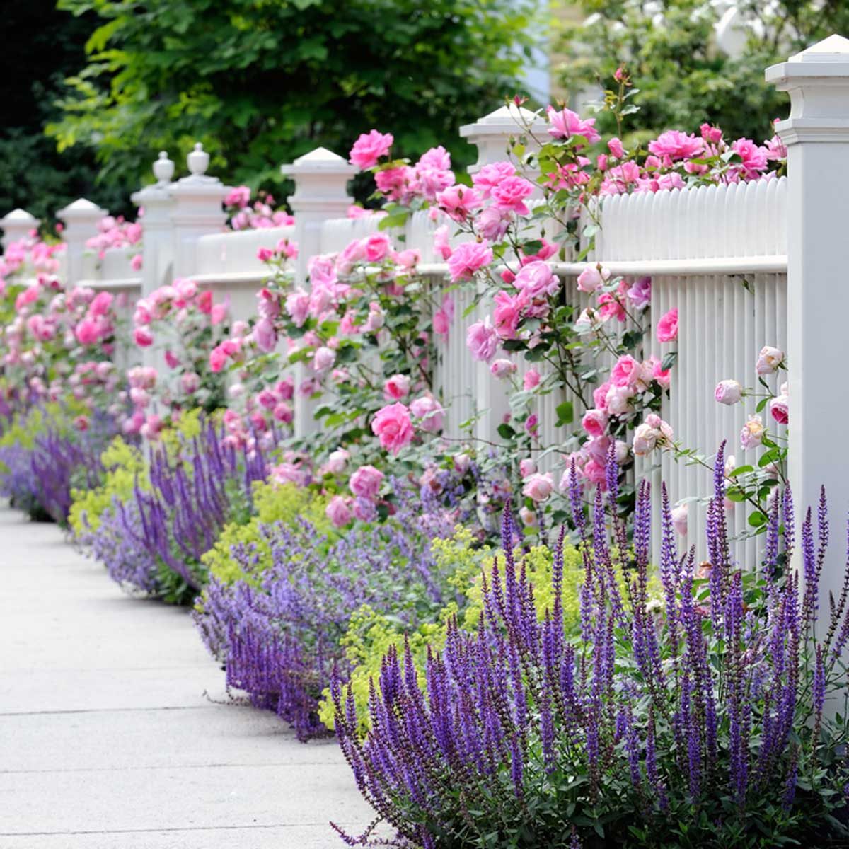 Our Favorite Flower Bed Ideas for Full Sun Family Handyman