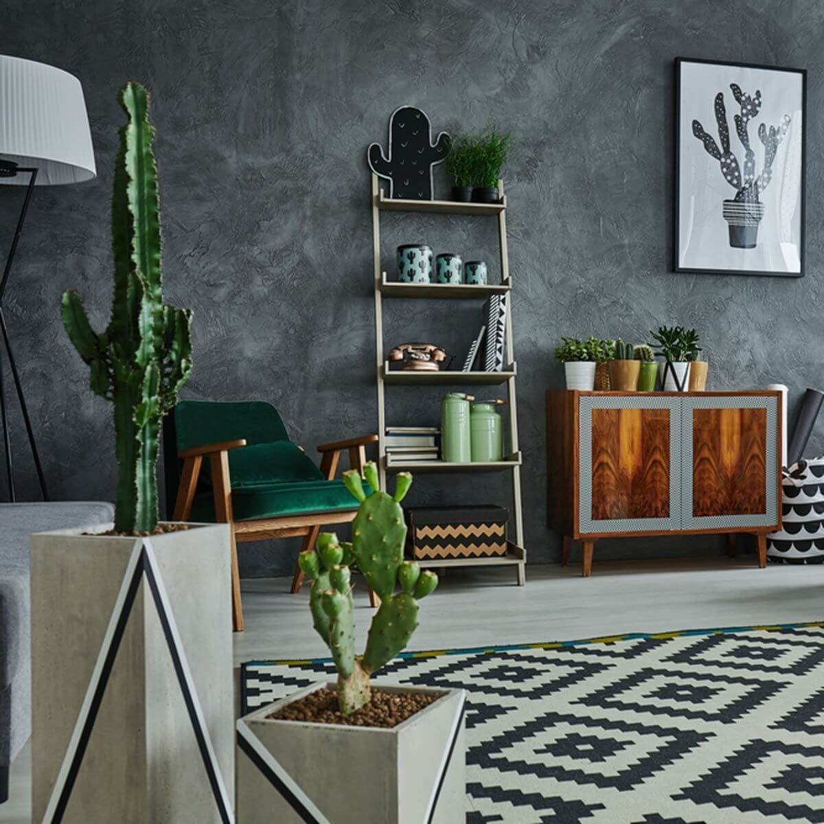 14 Ways to Decorate Your Home with Cactus | The Family ...