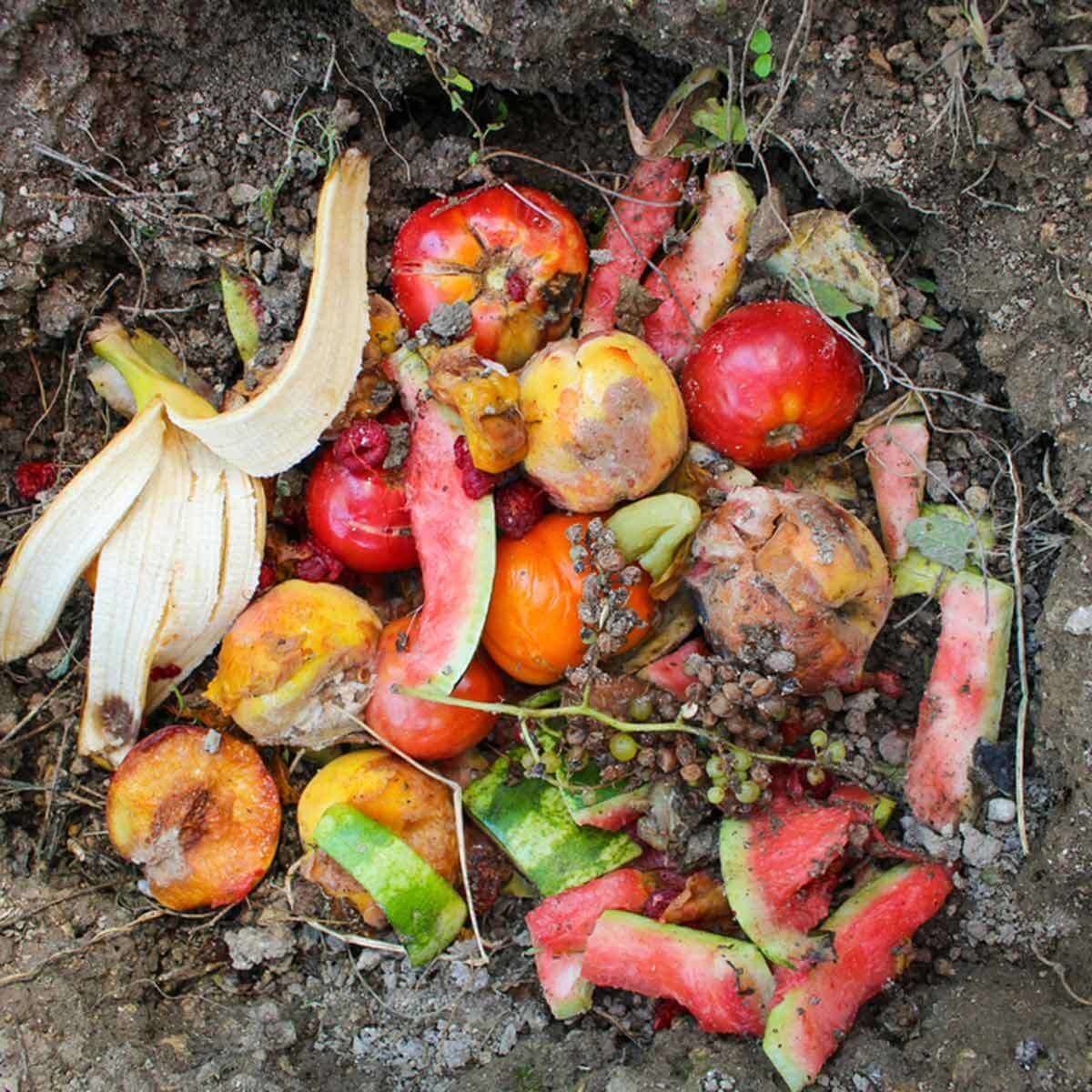 12 Tips for Successful Spring Composting — The Family Handyman
