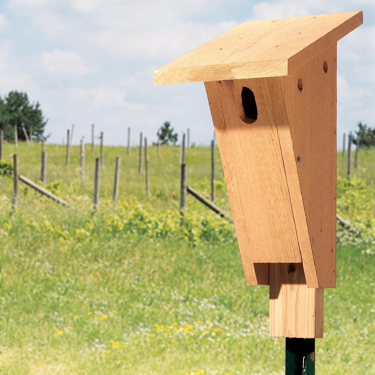 Build A Bluebird House In An Afternoon The Family Handyman