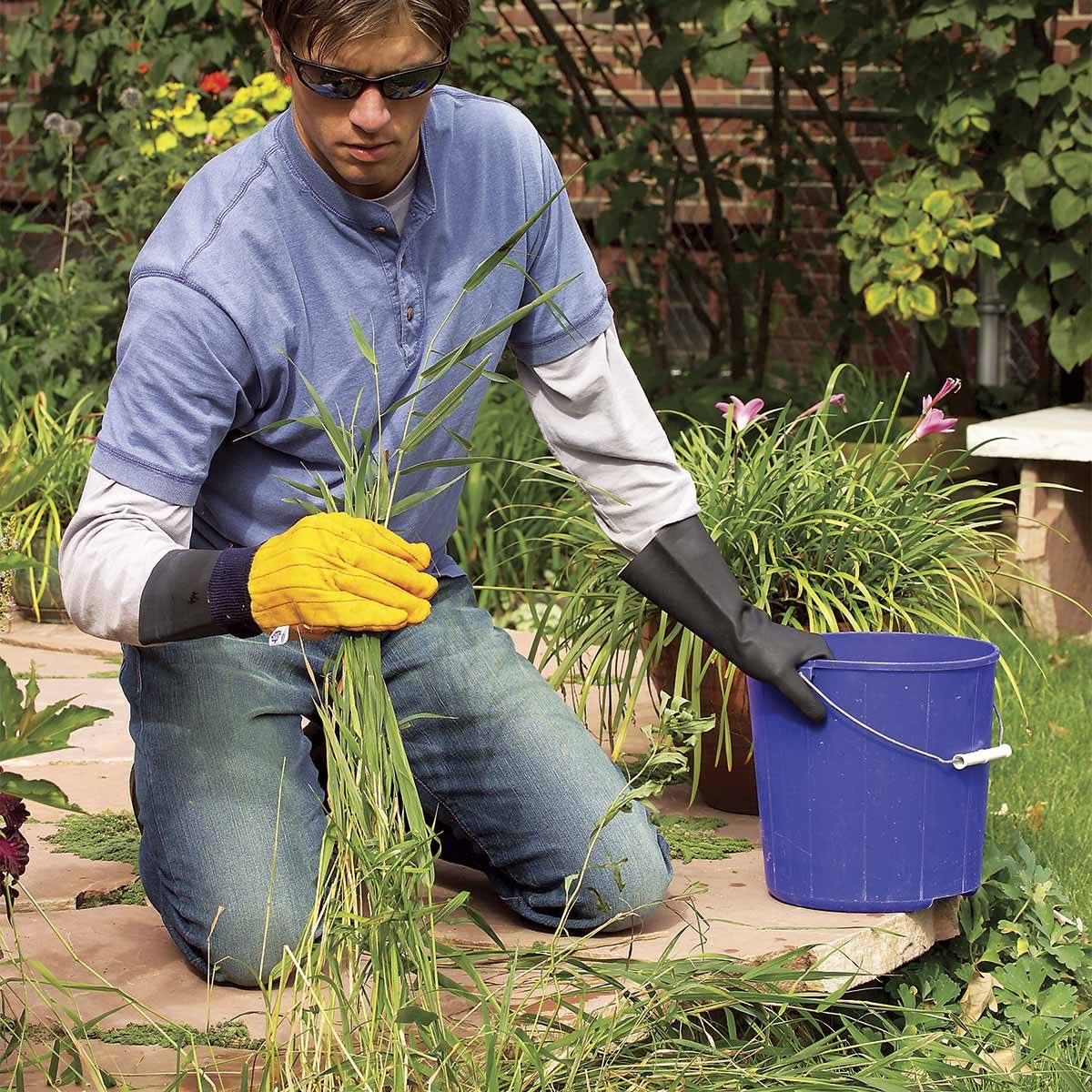 Homeowner's Guide to a Weed-Free Landscape