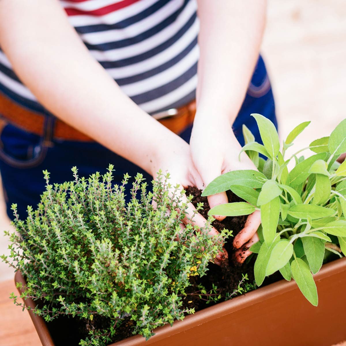 10 Balcony Gardening Tips