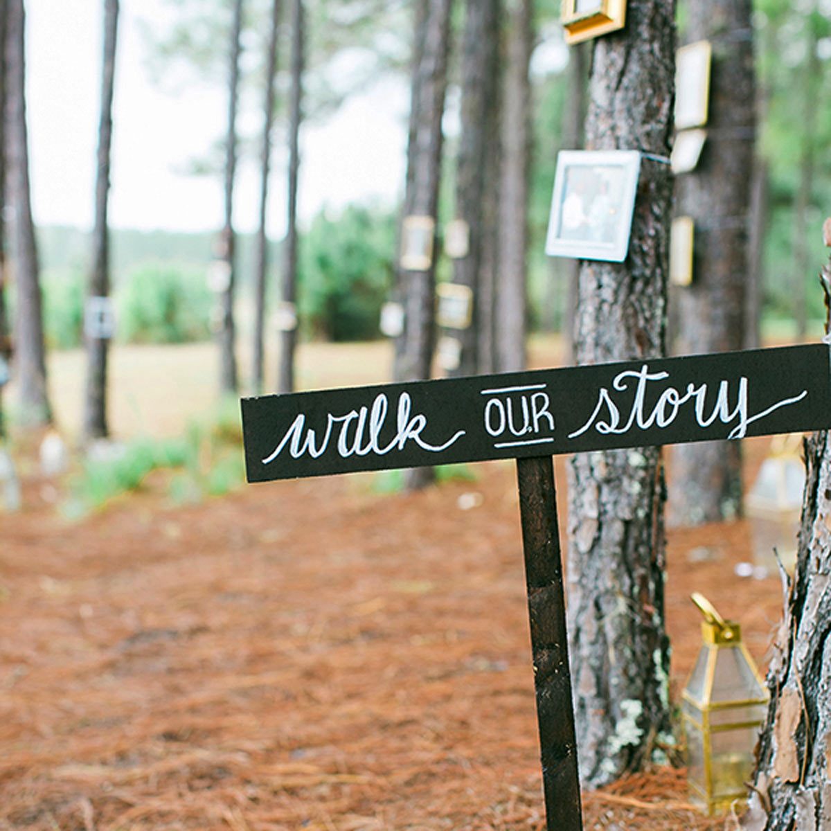 outdoor backyard wedding diy decor walk our story photo journey