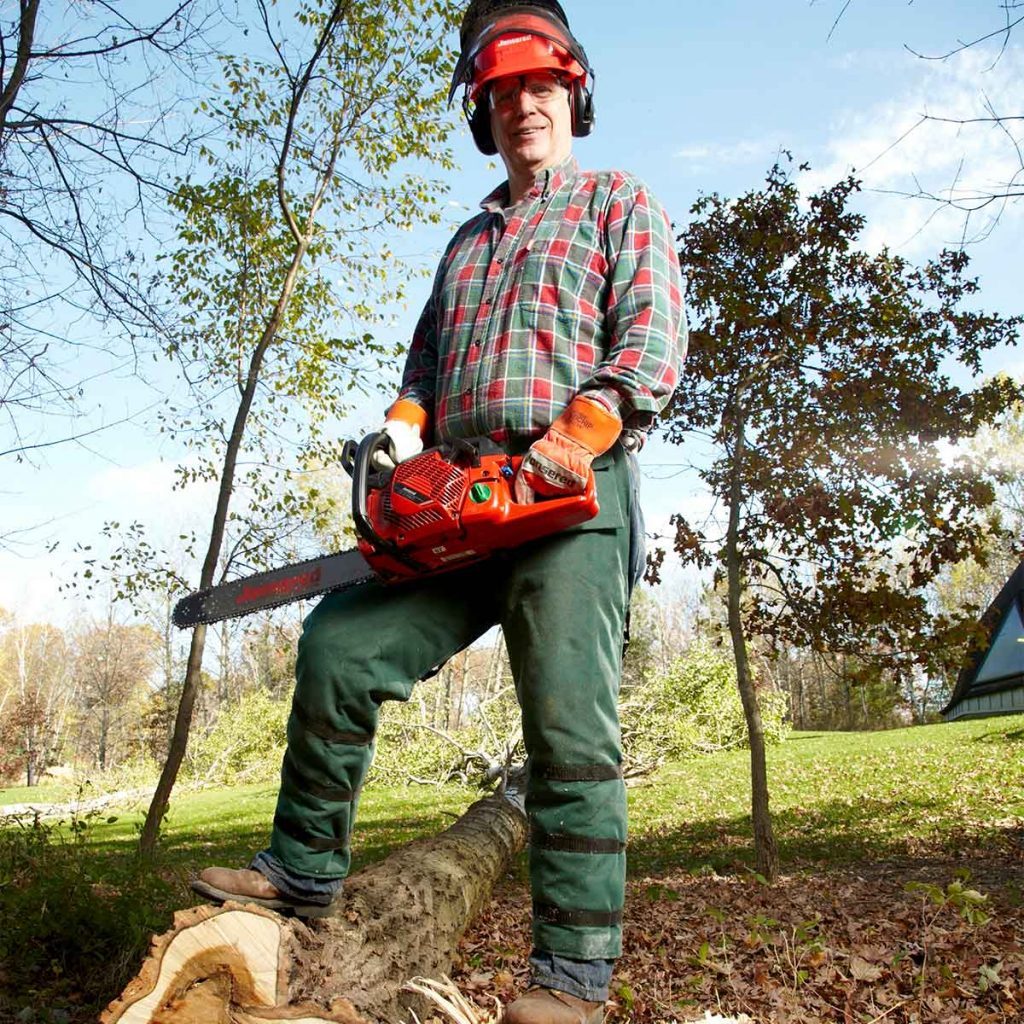 16 Things You Should NOT Do When Cutting Down a Tree | The Family Handyman