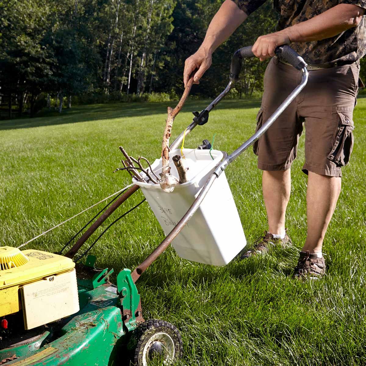 22 Common Household Items Turned Into Useful Yard Tools