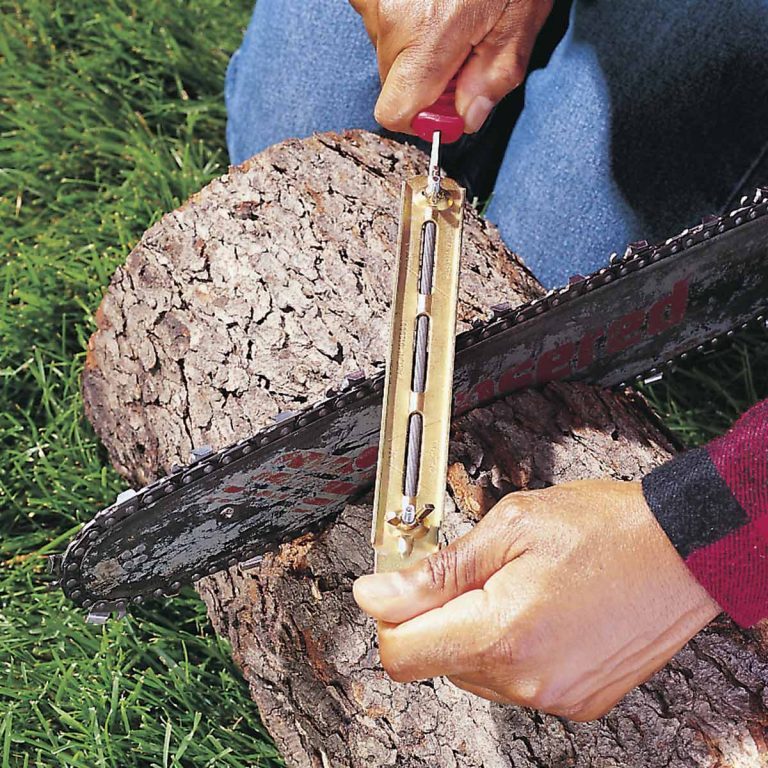 16 Things You Should NOT Do When Cutting Down a Tree | The Family Handyman