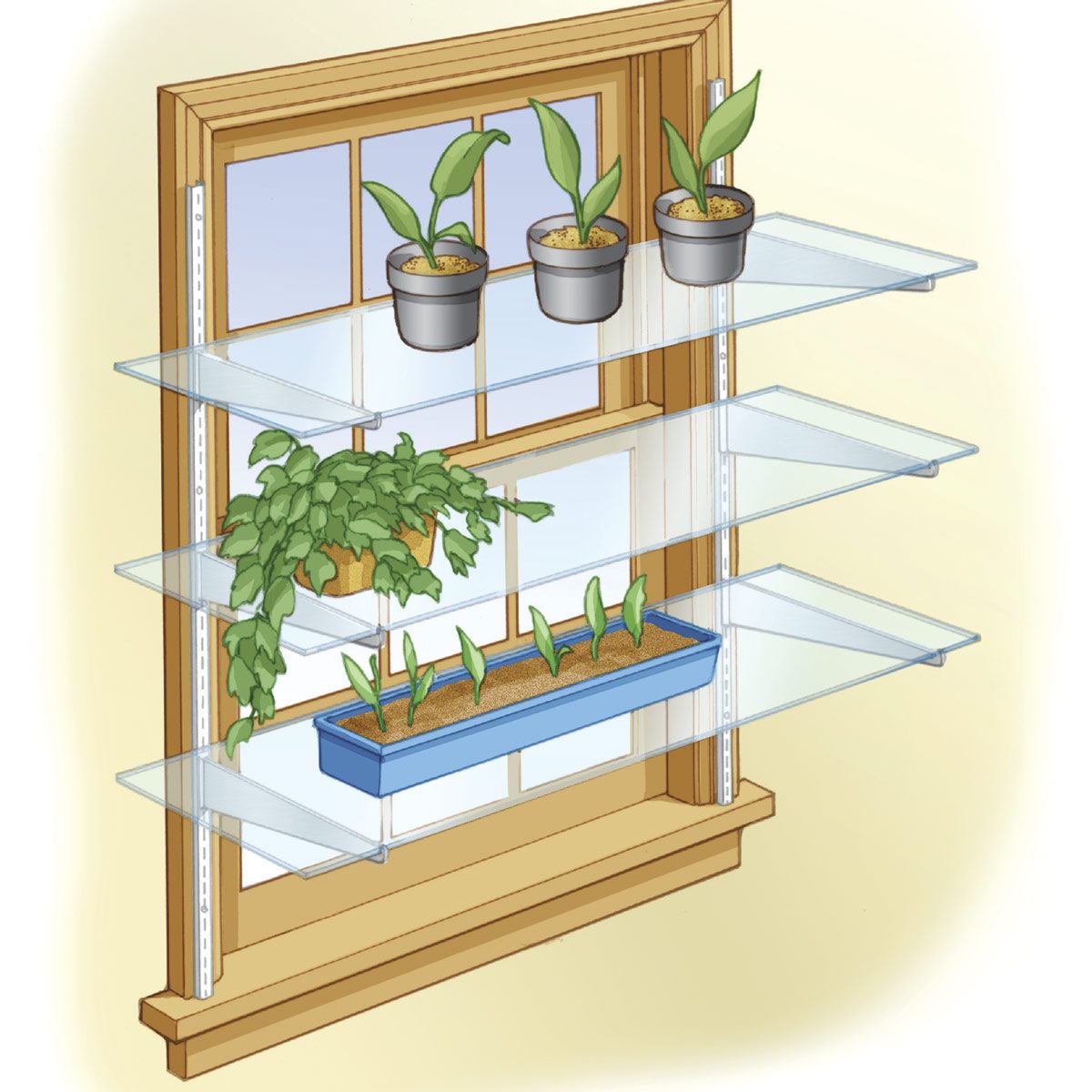 Turn a Window into a Mini Greenhouse