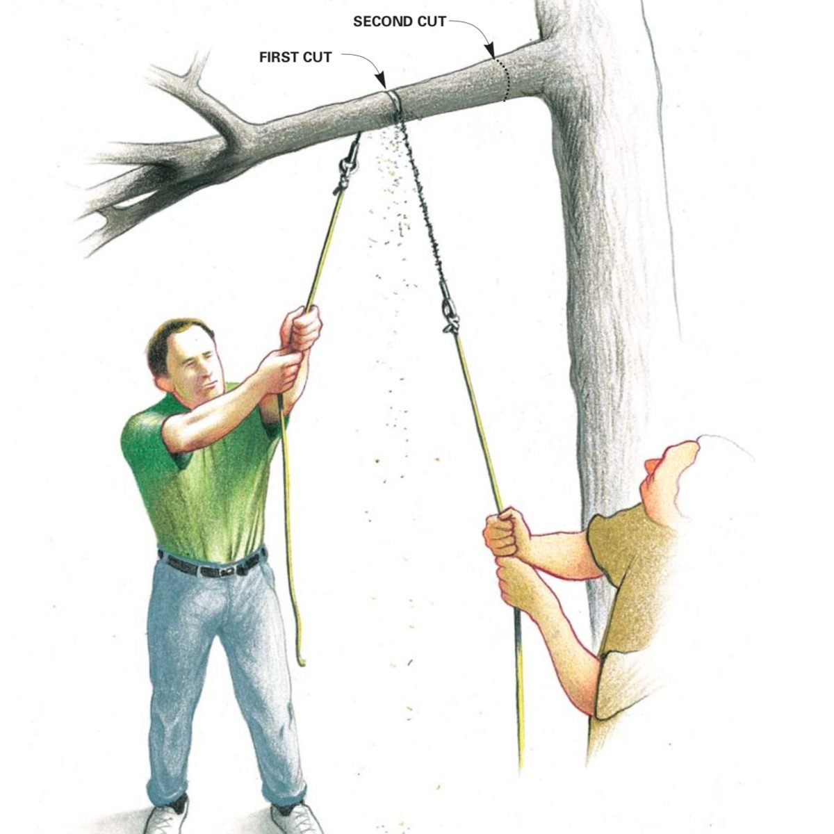 High-Flying Tree Limb Cutter
