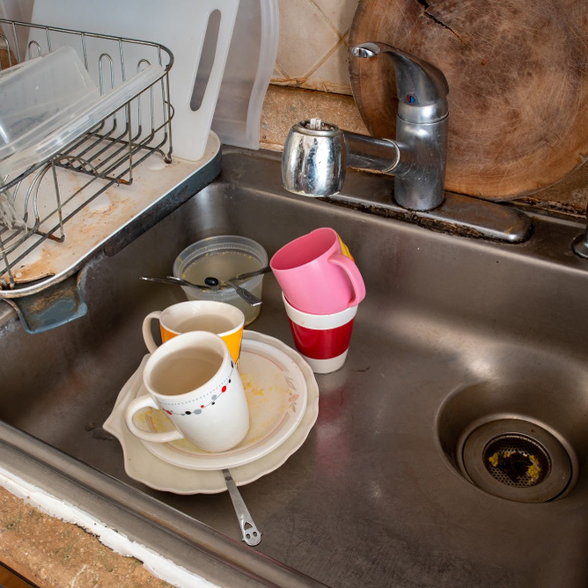 Your Kitchen Sponge Is a Better Home for Bacteria Than a Petri Dish, Smart  News