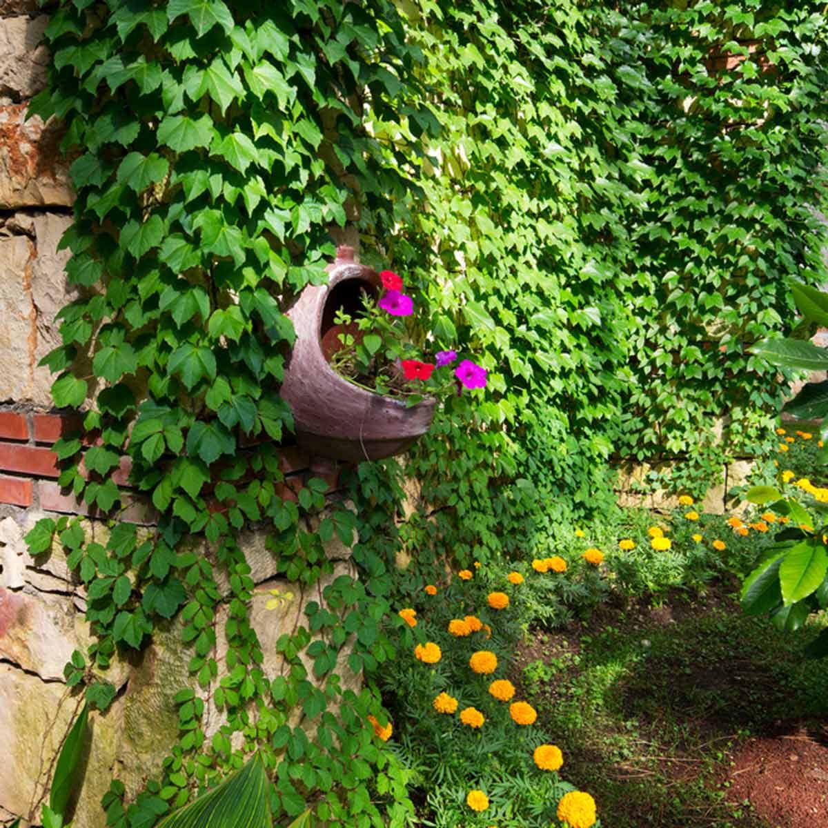 14 Small-Space Landscaping Ideas — The Family Handyman