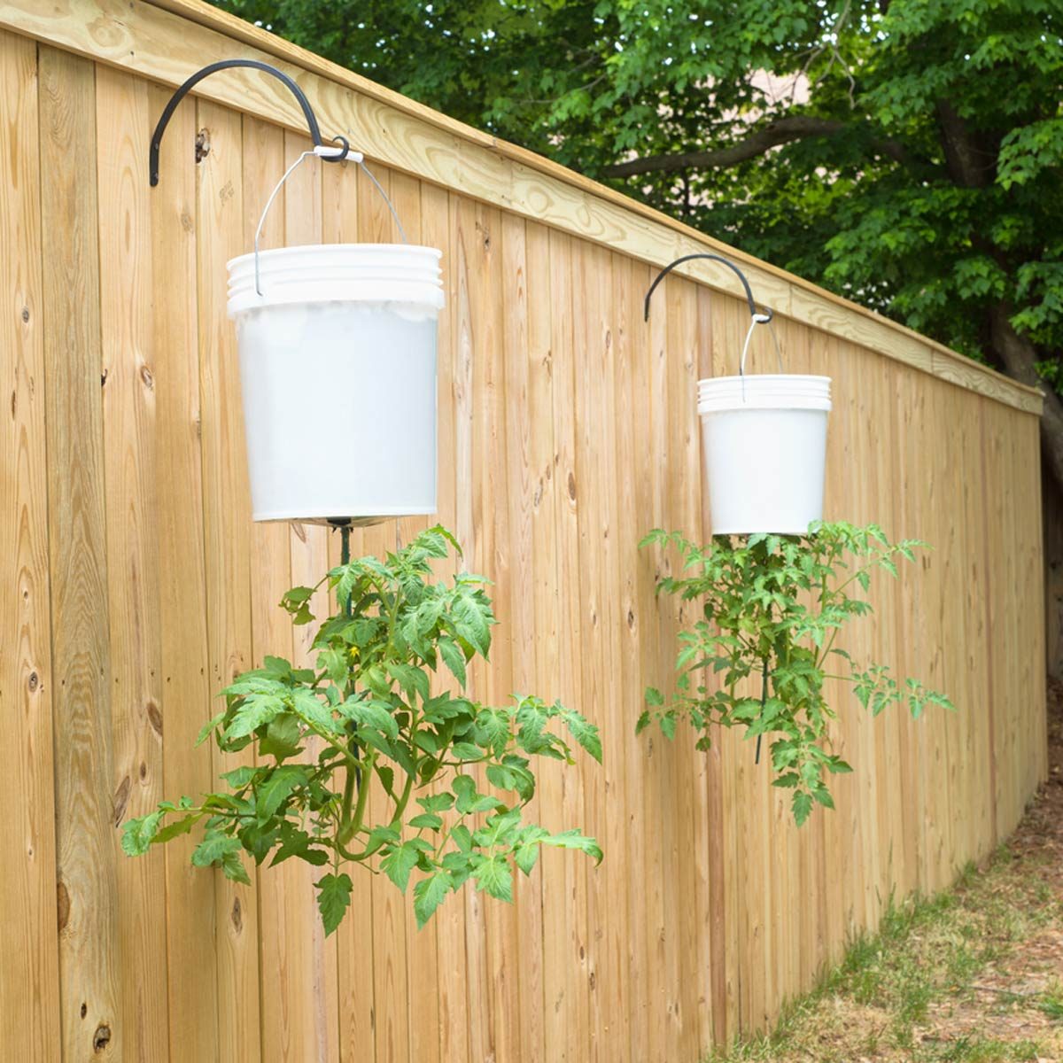 Garden Fence Style Wall Hooks
