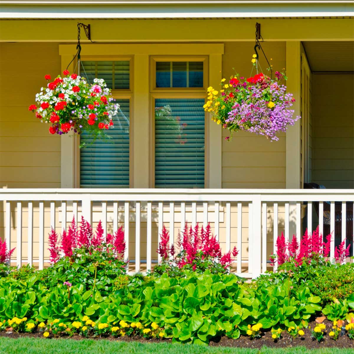 hanging plants on front porch