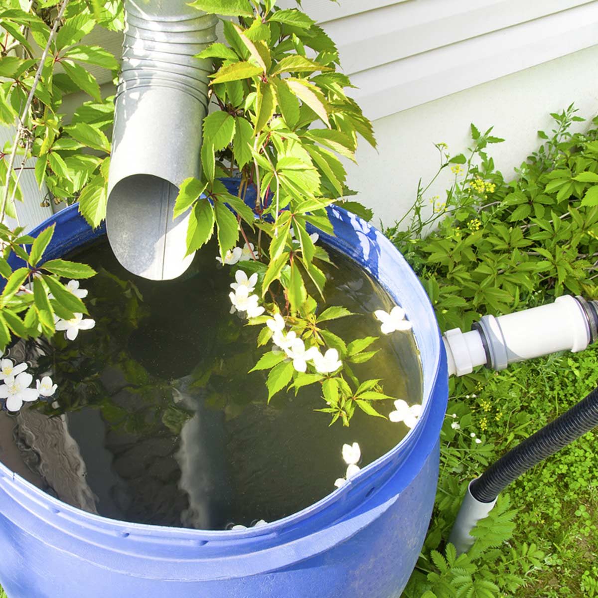 Start Spending Less Time Doing Yardwork With These Tips | Family Handyman