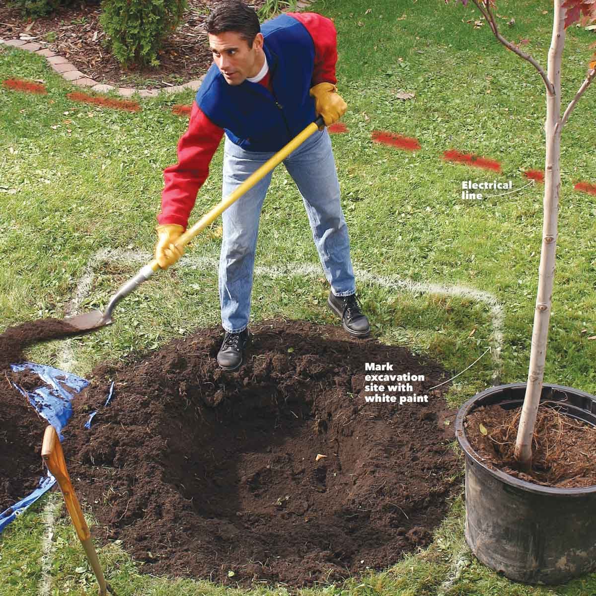 15 Expert Tips for Digging Holes