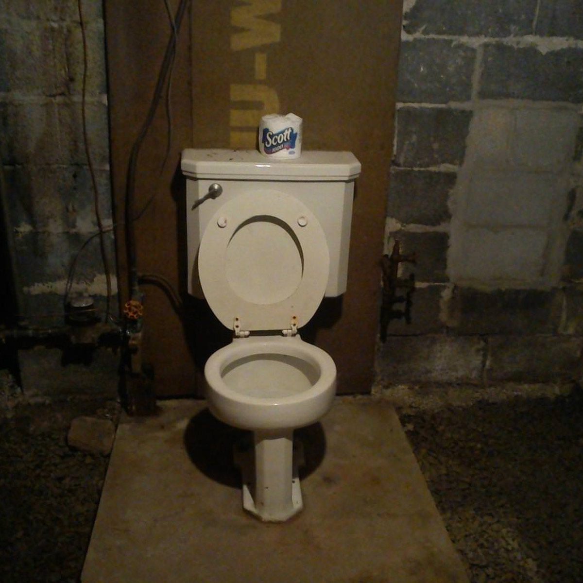 toilet